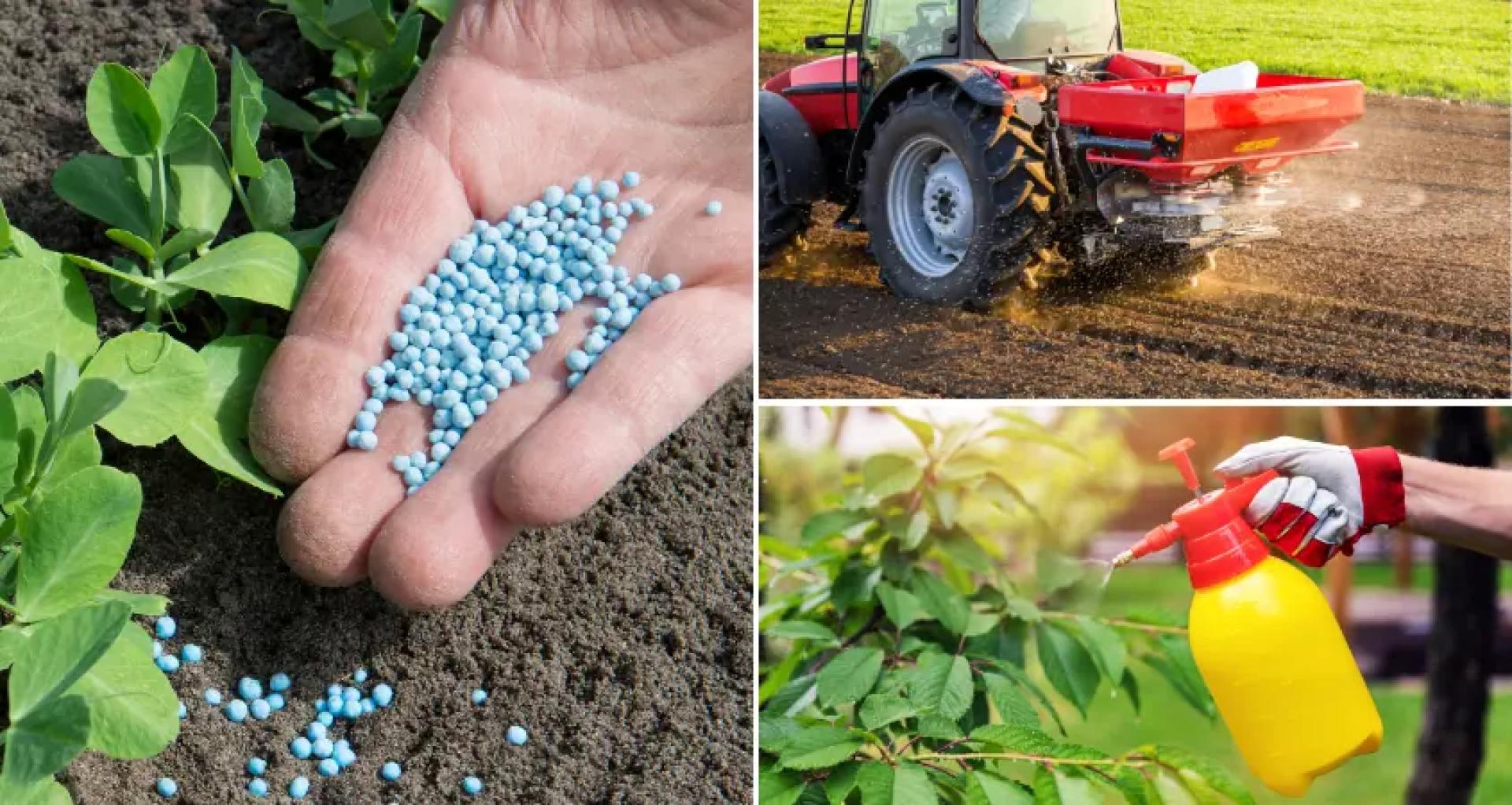 Fertilizers: The Foundation of Modern Crop Production