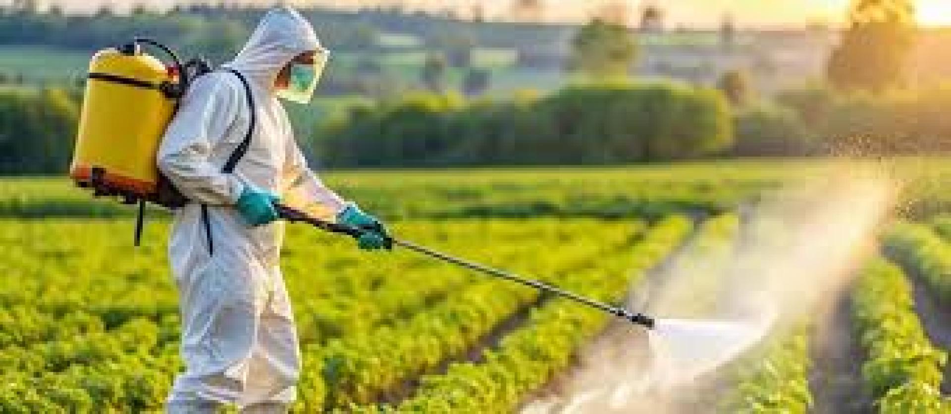 Protecting Crops and Improving Agricultural Efficiency