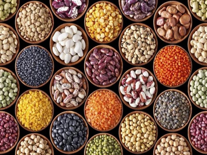 Oilseeds & Meals