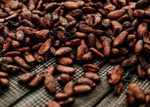 Cocoa Beans