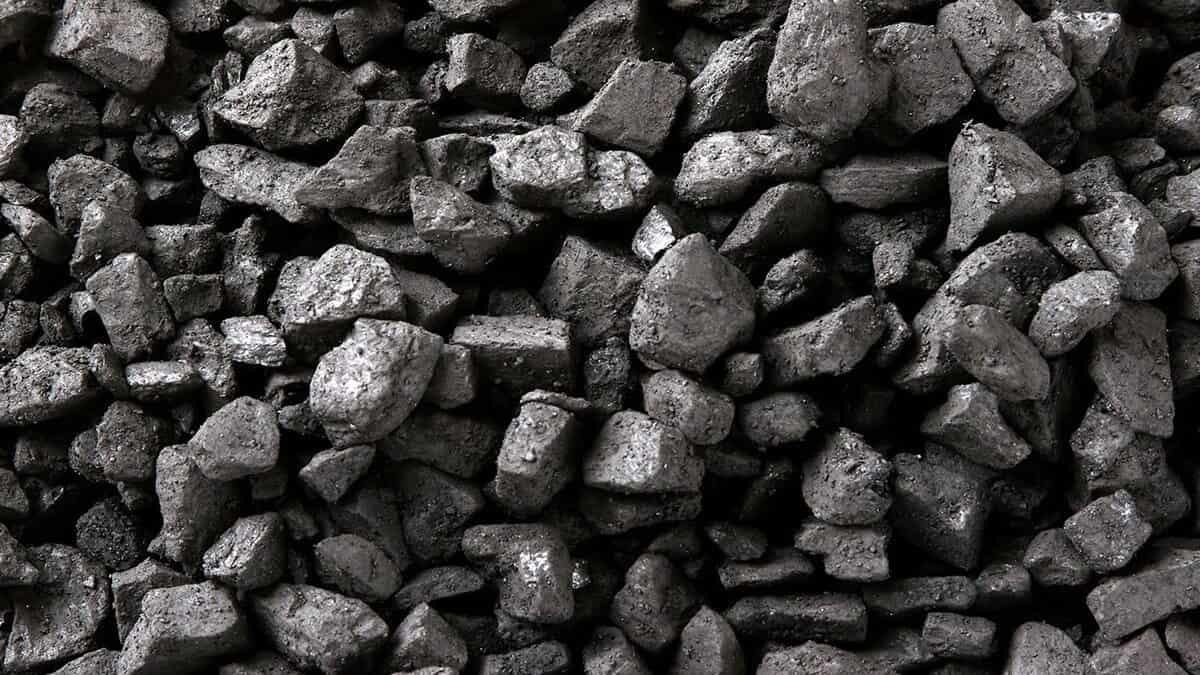 Coal