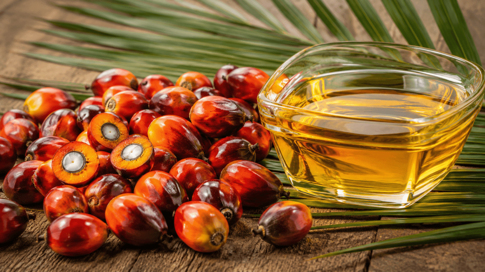 Palm Oil