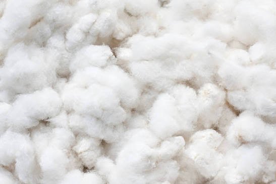 Cotton