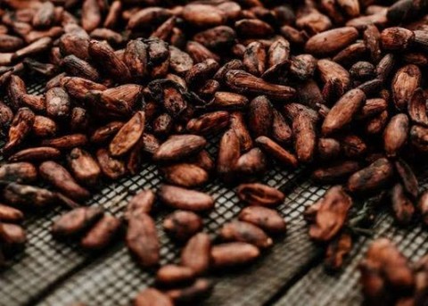Cocoa Beans