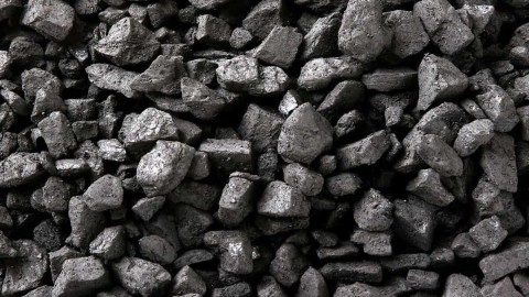 Coal