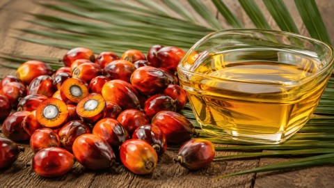 Palm Oil