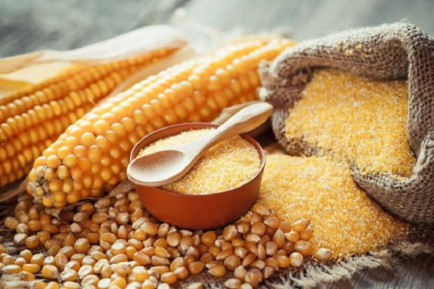 Corn