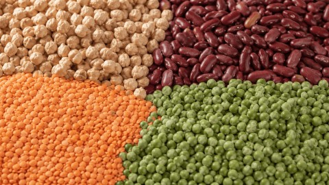 Pulses