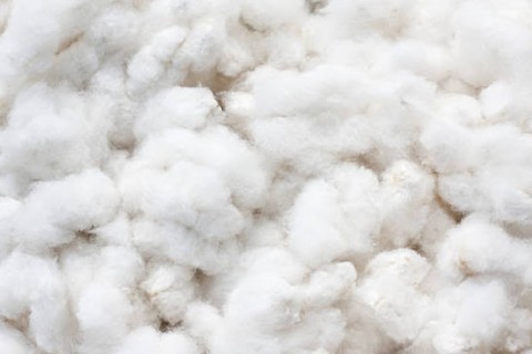 Cotton