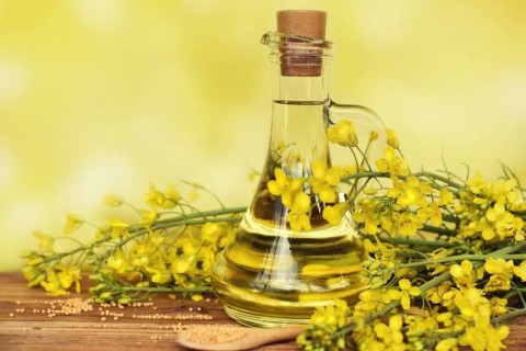 Rapeseed Oil (Canola Oil)